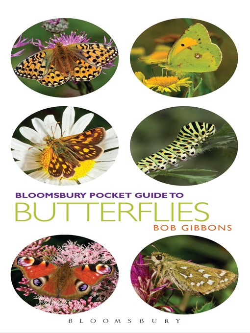 Title details for Pocket Guide to Butterflies by Bob Gibbons - Available